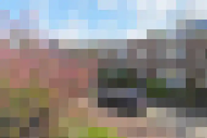 Fuchsiastraat 25 Den Haag thumbnail 8