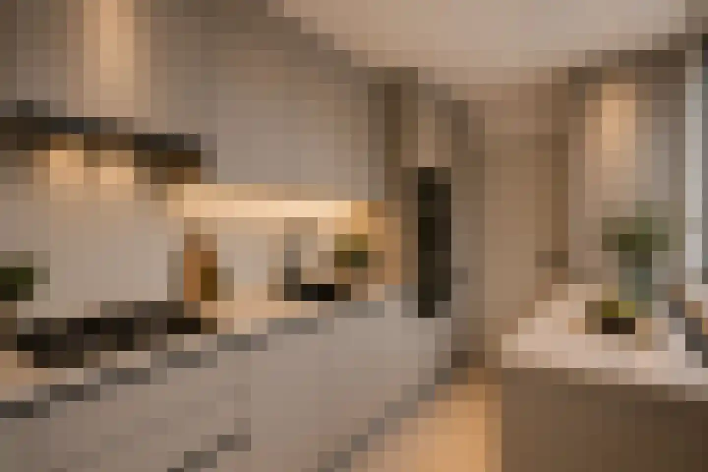 Fuchsiastraat 26 Eindhoven thumbnail 11