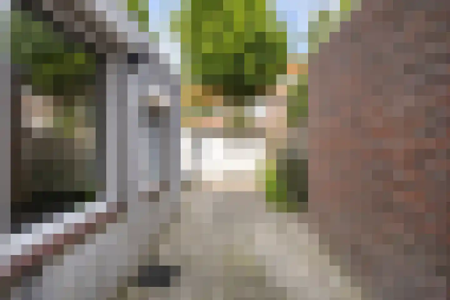 Fuchsiastraat 26 Eindhoven thumbnail 29