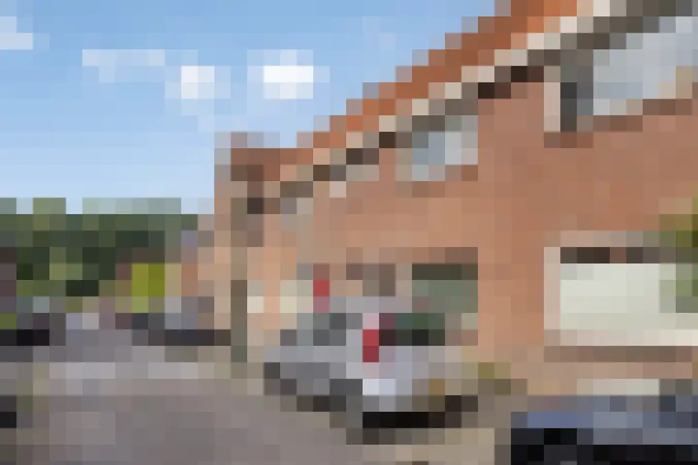Fuchsiastraat 26 Eindhoven thumbnail 5