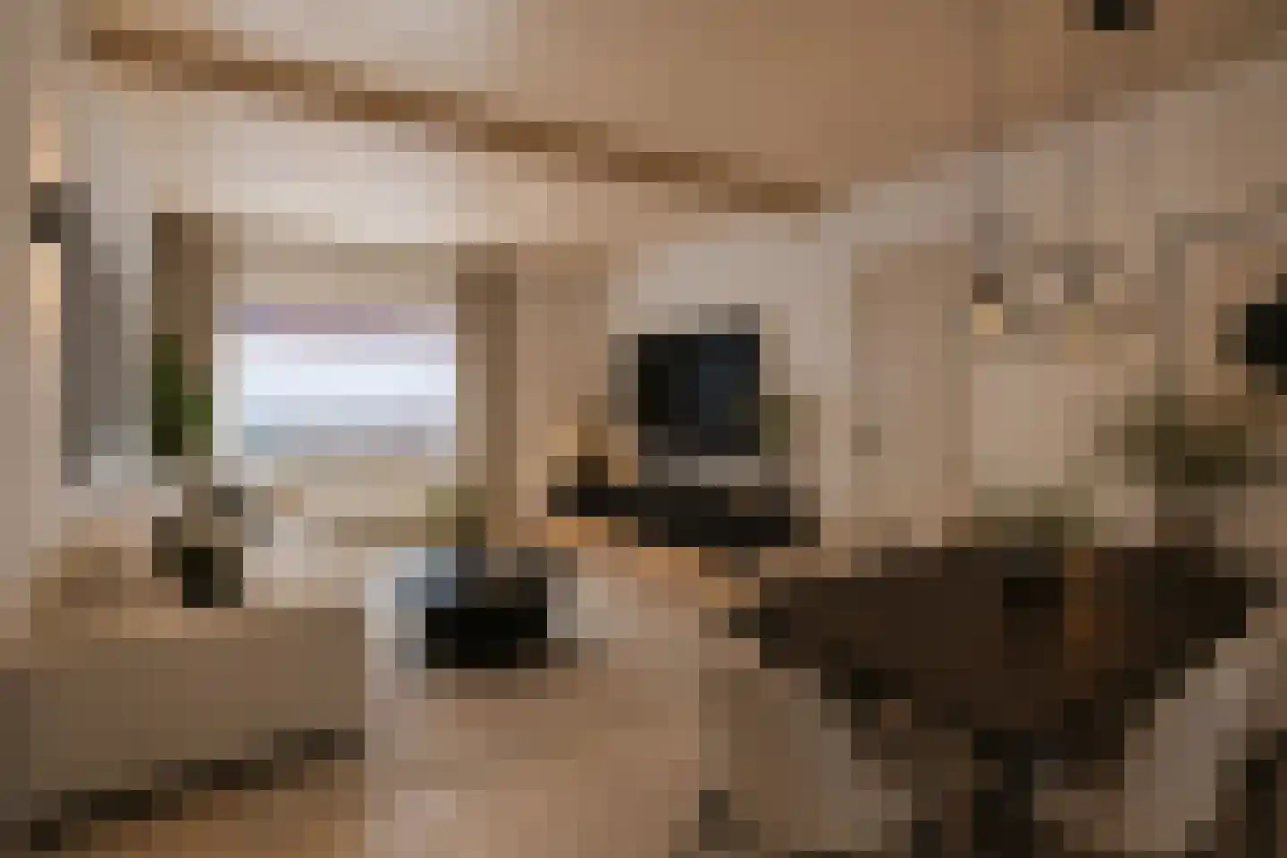 Fuchsiastraat 26 Eindhoven thumbnail 8