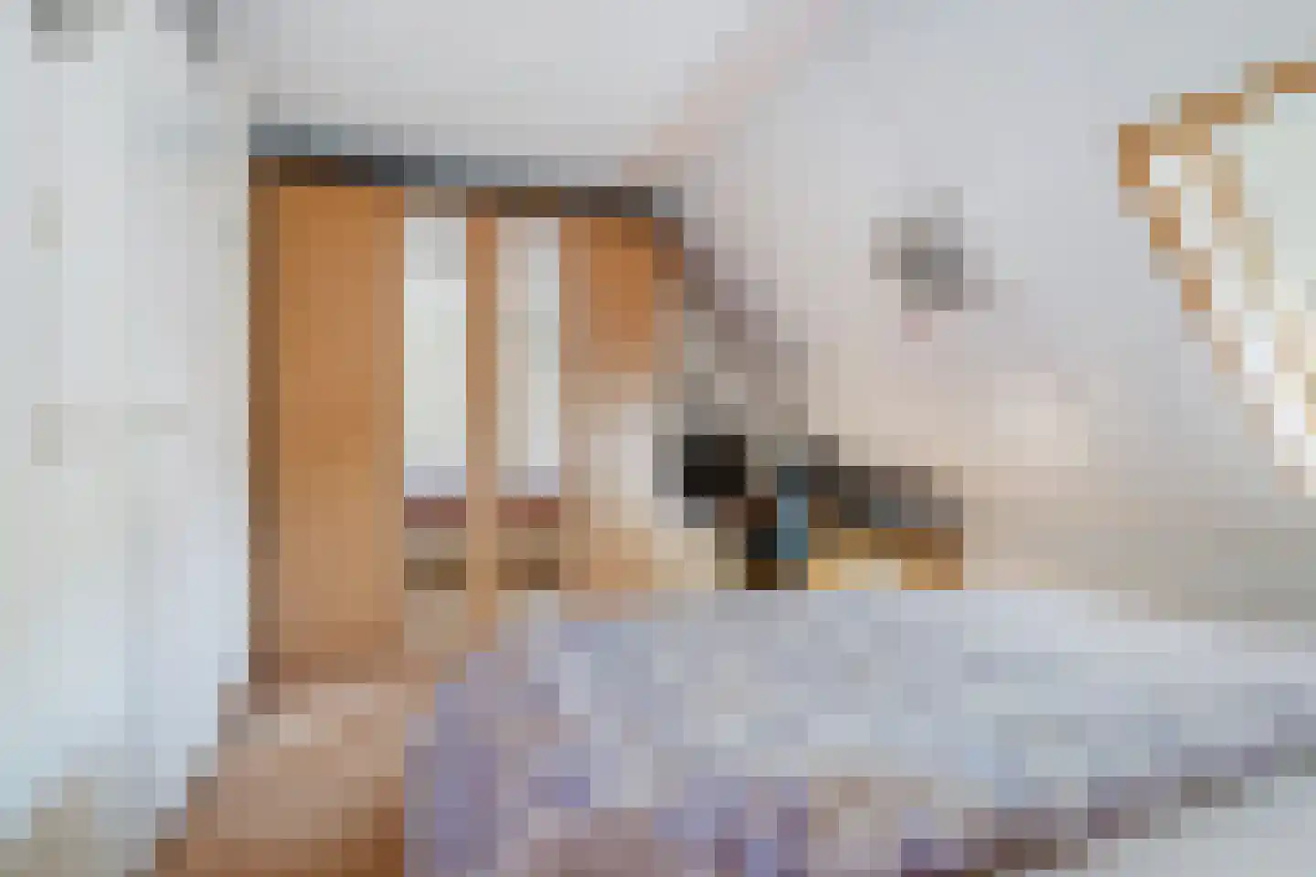 Fuchsiastraat 26 Rotterdam thumbnail 20
