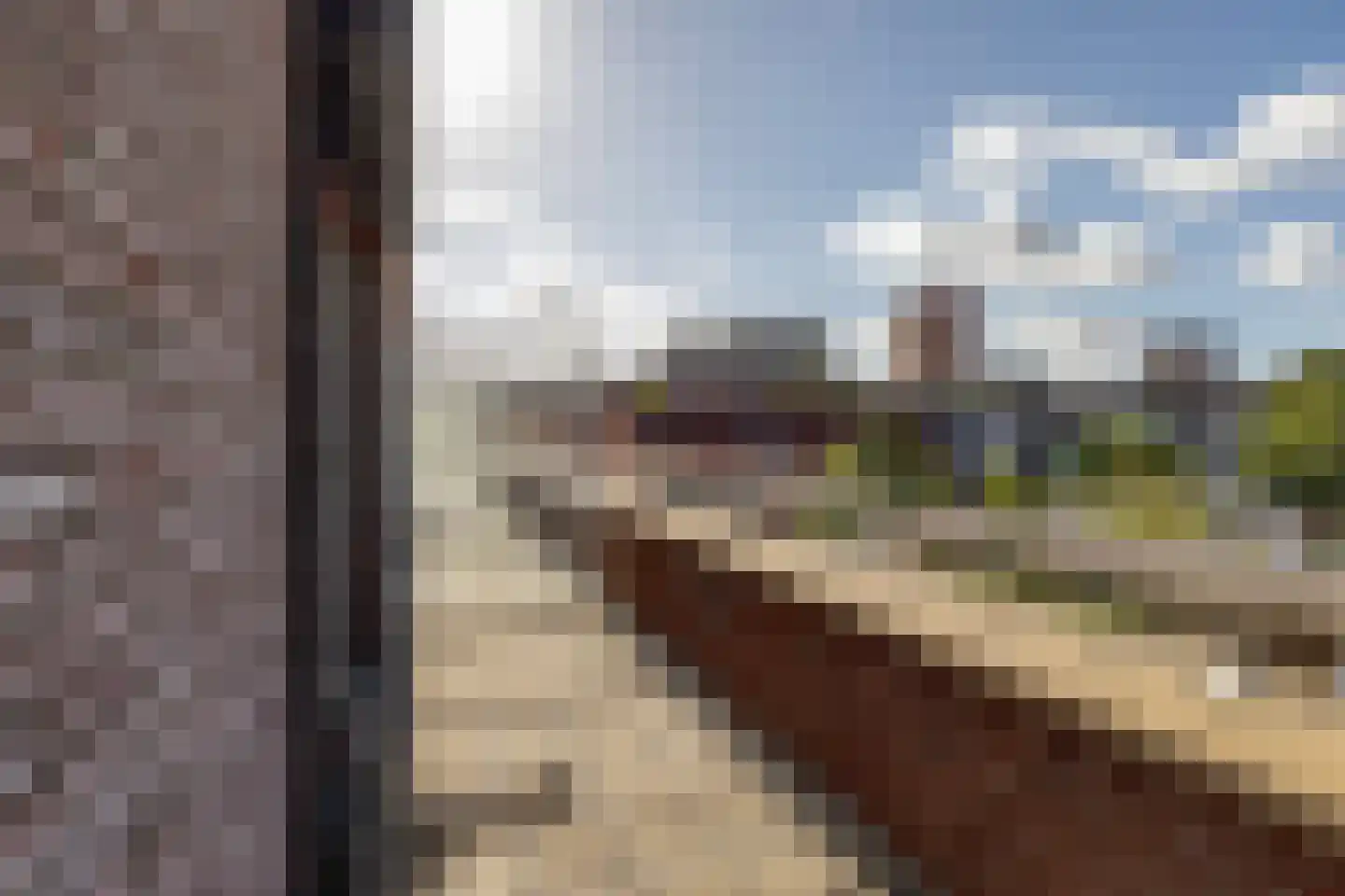 Fuchsiastraat 26 Rotterdam thumbnail 28