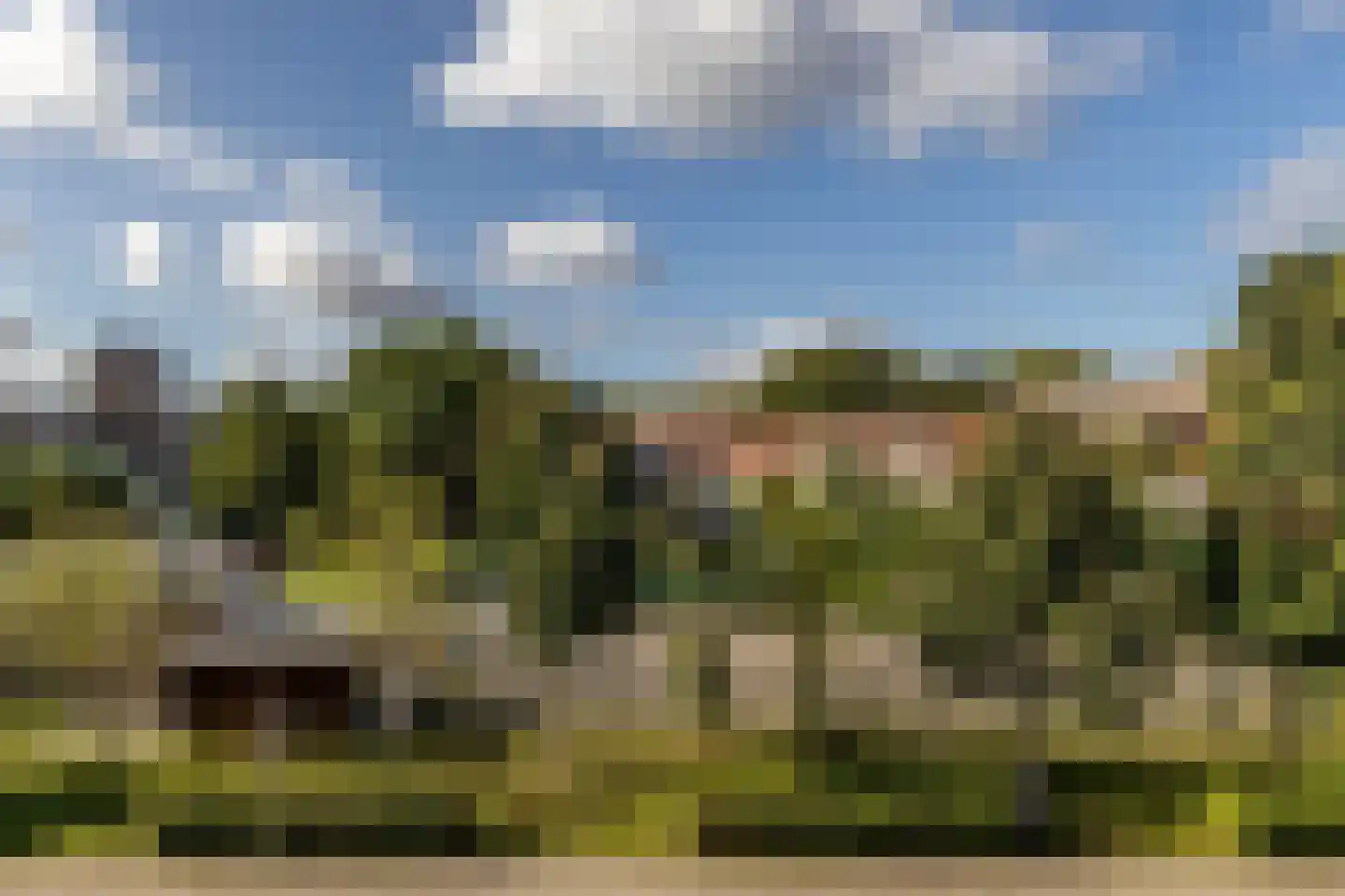 Fuchsiastraat 26 Rotterdam thumbnail 31