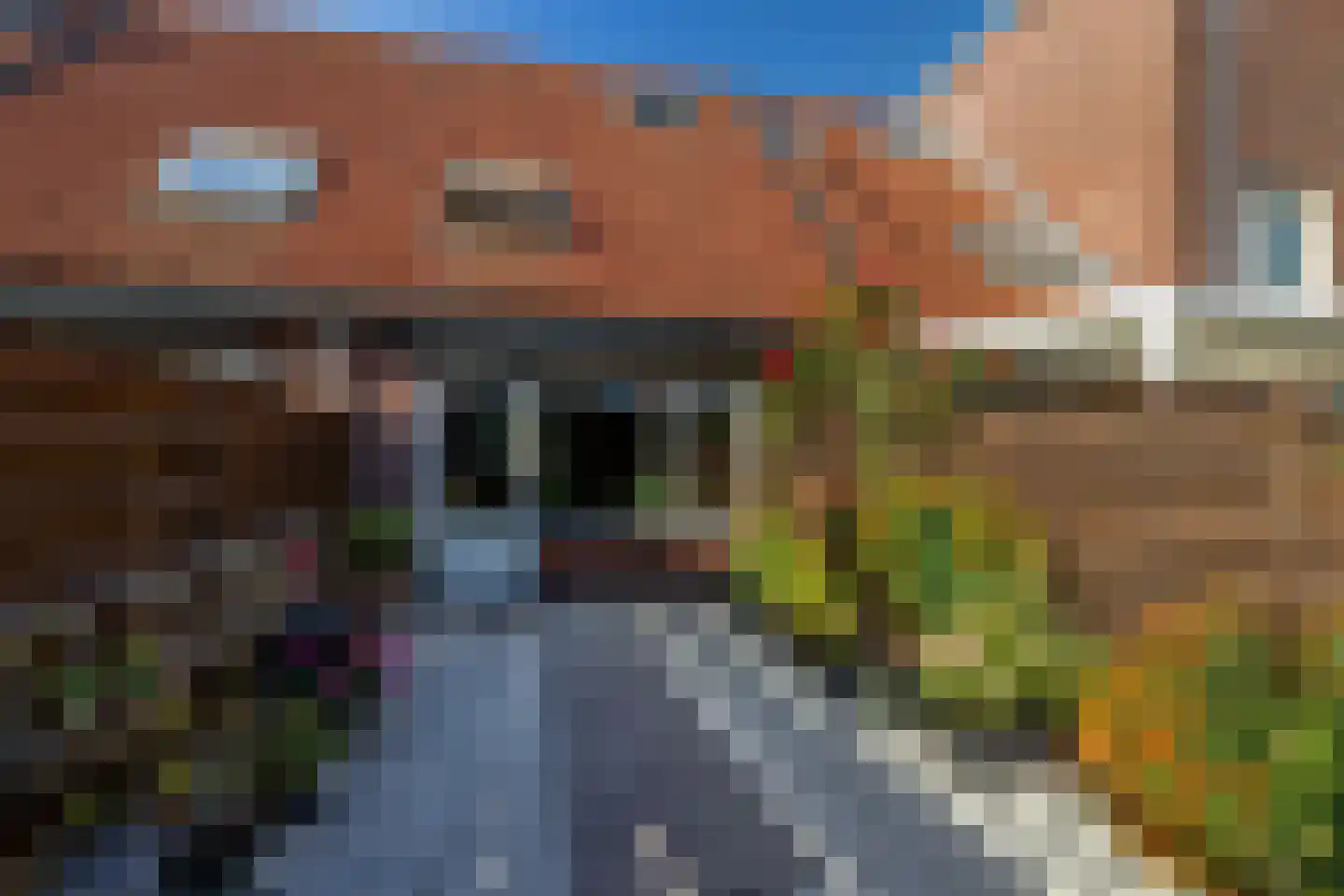 Fuchsiastraat 26 Rotterdam thumbnail 34