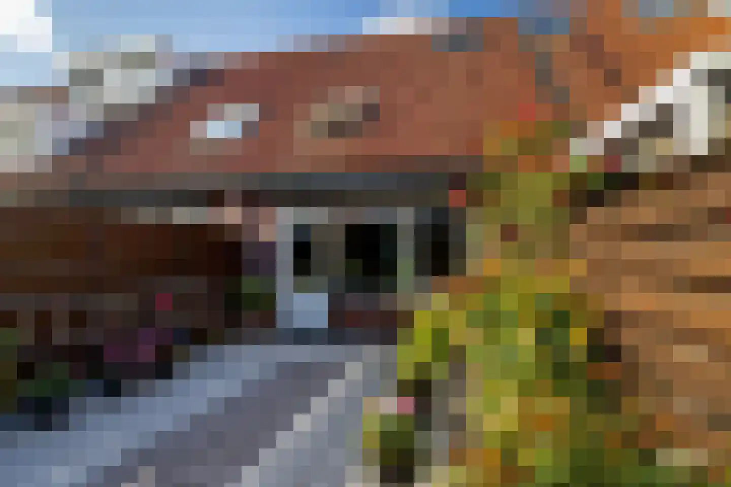 Fuchsiastraat 26 Rotterdam thumbnail 35