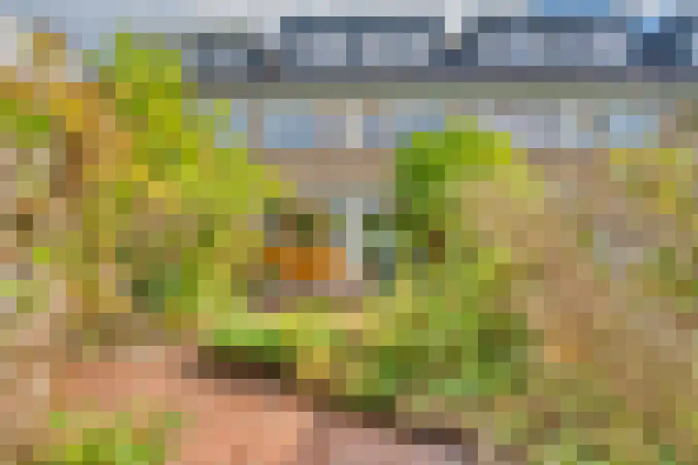 Fuchsiastraat 3 Zwijndrecht thumbnail 4