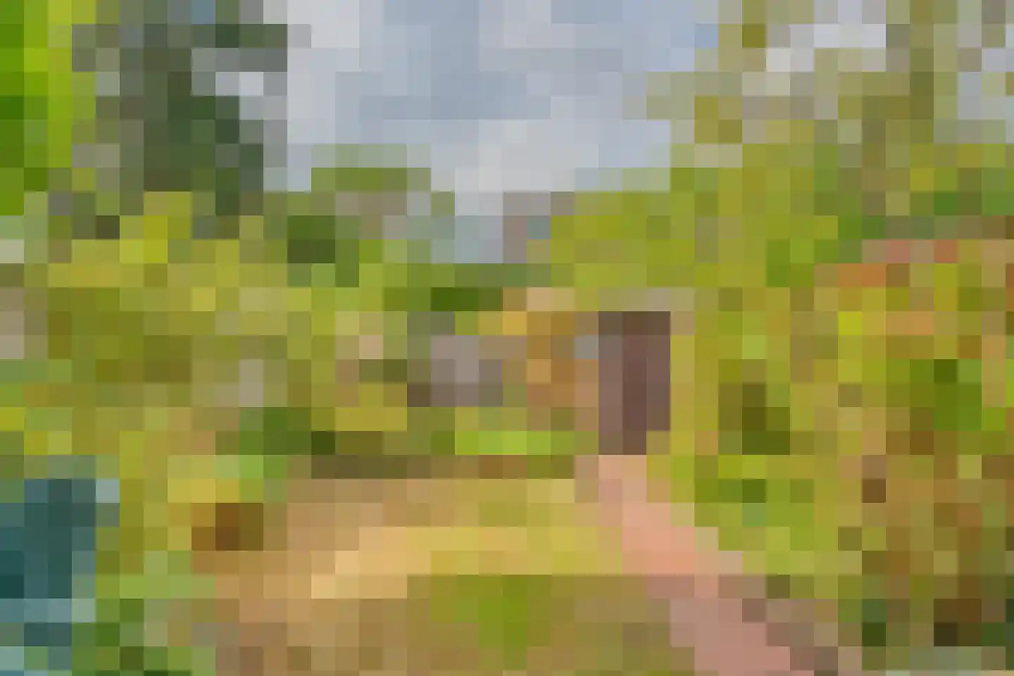 Fuchsiastraat 3 Zwijndrecht thumbnail 42