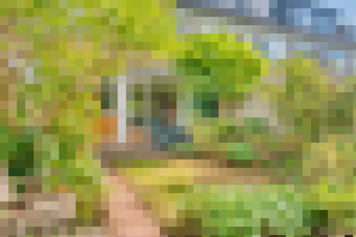 Fuchsiastraat 3 Zwijndrecht thumbnail 43