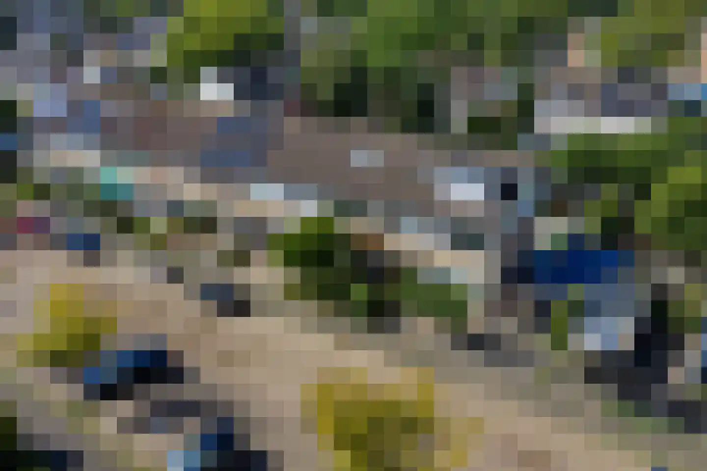 Fuchsiastraat 3 Zwijndrecht thumbnail 48