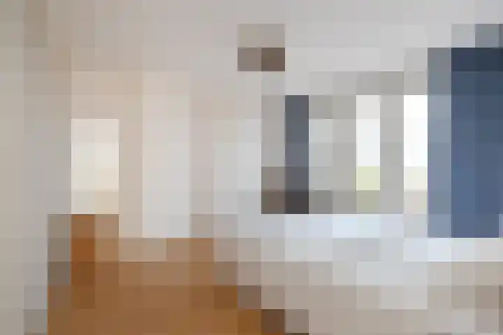 Fuchsiastraat 33 Den Haag thumbnail 28