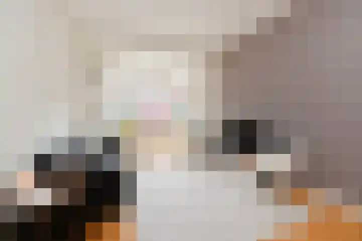 Fuchsiastraat 33 Den Haag thumbnail 8