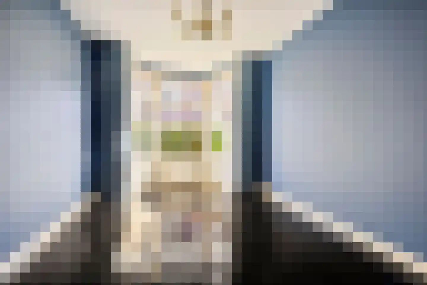 Fuchsiastraat 35 Den Haag thumbnail 6