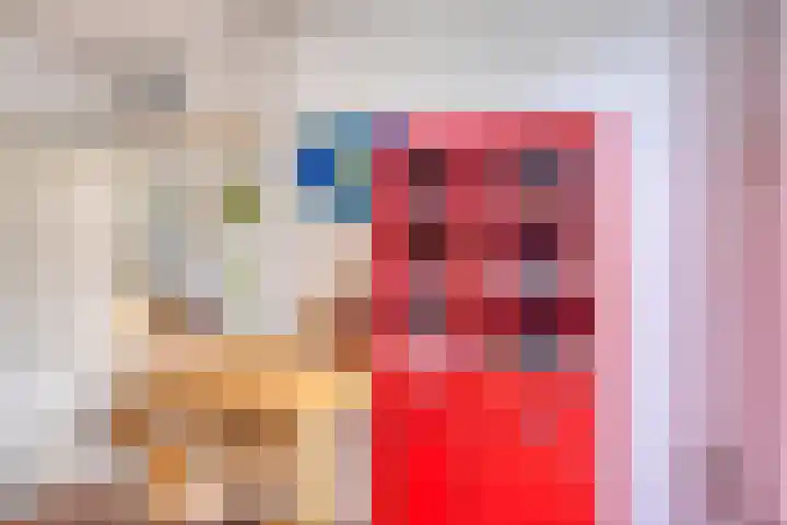 Fuchsiastraat 45 Eindhoven thumbnail 12