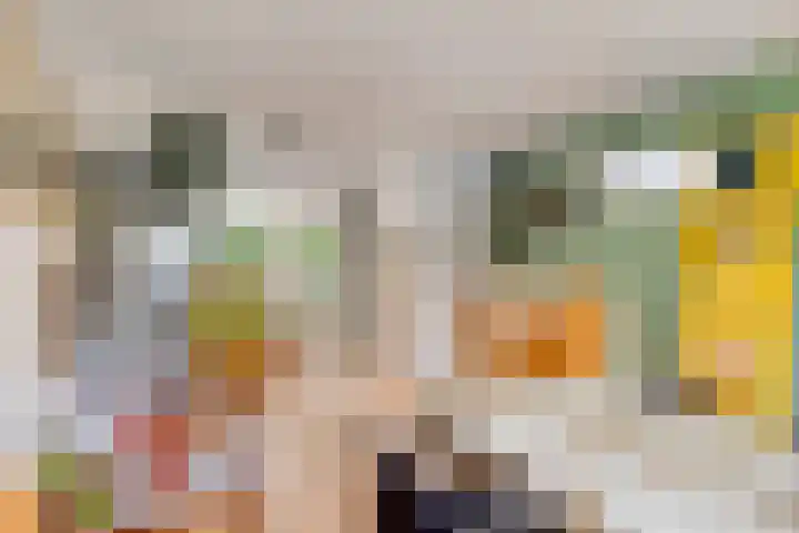 Fuchsiastraat 45 Eindhoven thumbnail 14