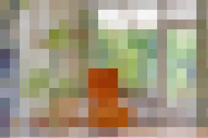 Fuchsiastraat 45 Eindhoven thumbnail 15