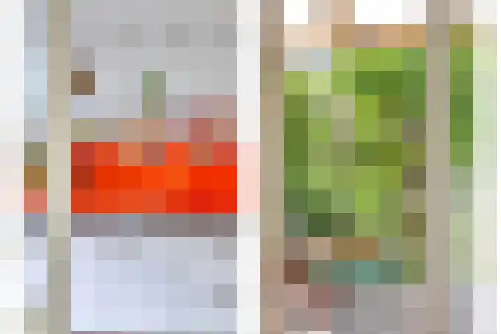 Fuchsiastraat 45 Eindhoven thumbnail 16