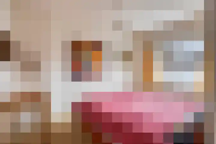 Fuchsiastraat 45 Eindhoven thumbnail 18