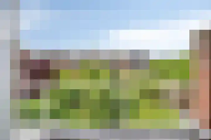 Fuchsiastraat 45 Eindhoven thumbnail 23