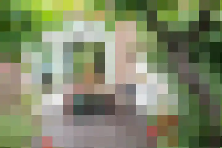 Fuchsiastraat 45 Eindhoven thumbnail 29