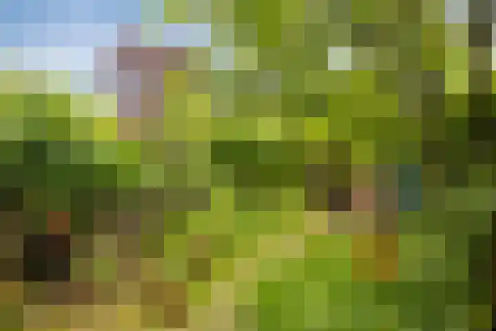 Fuchsiastraat 45 Eindhoven thumbnail 4