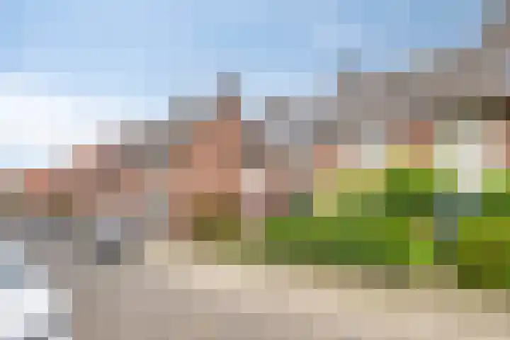 Fuchsiastraat 45 Eindhoven thumbnail 6