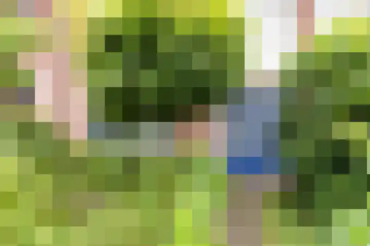 Fuchsiastraat 45 Eindhoven thumbnail 7