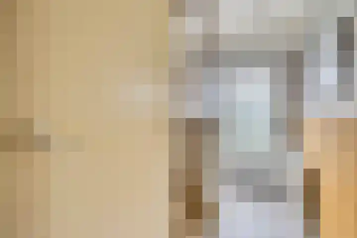 Fuchsiastraat 45 Eindhoven thumbnail 8