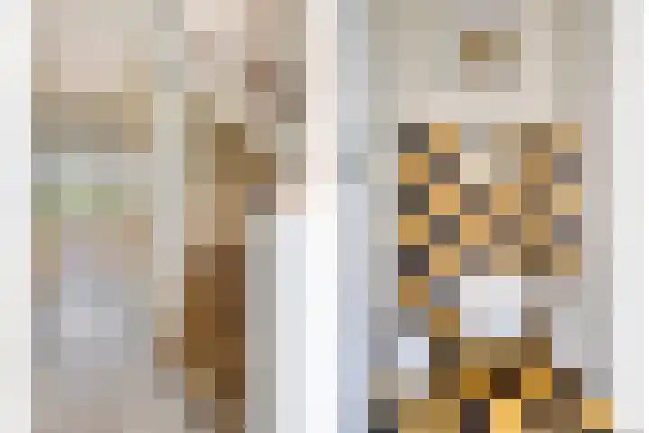 Fuchsiastraat 45 Eindhoven thumbnail 9