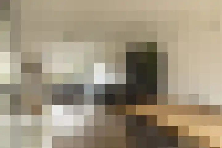 Fuchsiastraat 46 Hilversum thumbnail 13