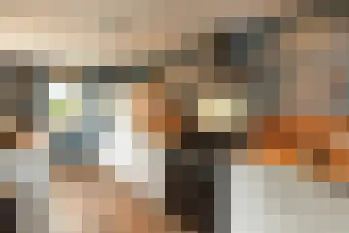 Fuchsiastraat 46 Hilversum thumbnail 17