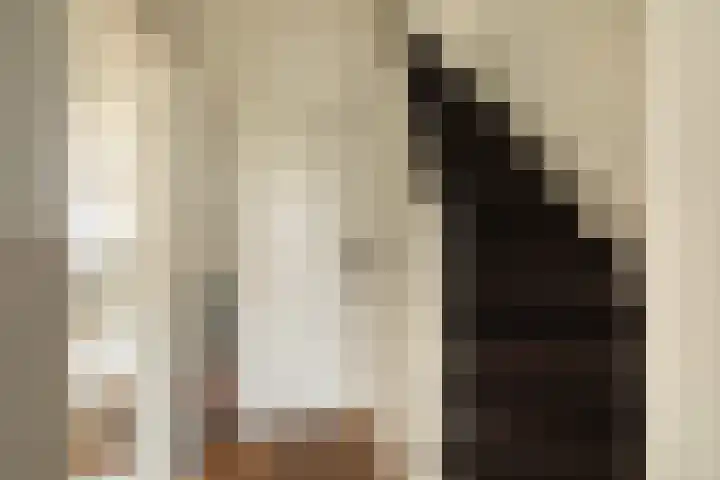 Fuchsiastraat 46 Hilversum thumbnail 7