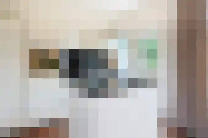 Fuchsiastraat 5 Eindhoven thumbnail 15