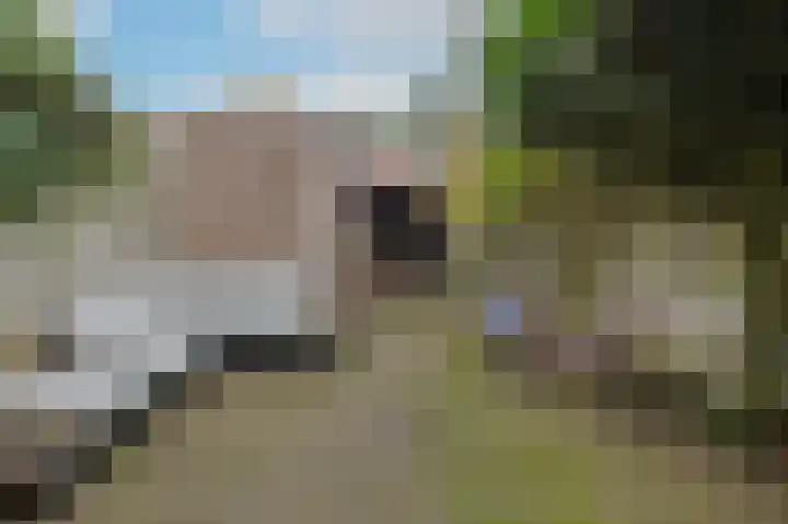 Fuchsiastraat 5 Eindhoven thumbnail 23