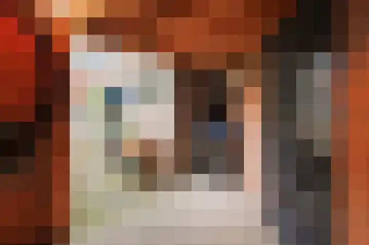 Fuchsiastraat 5 Eindhoven thumbnail 28