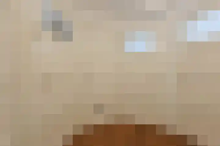 Fuchsiastraat 5 Eindhoven thumbnail 30