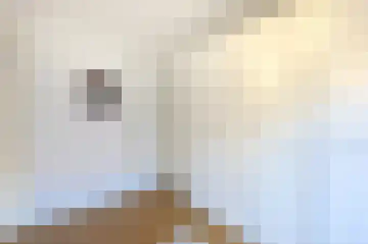 Fuchsiastraat 5 Eindhoven thumbnail 37