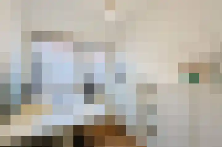 Fuchsiastraat 5 Eindhoven thumbnail 39