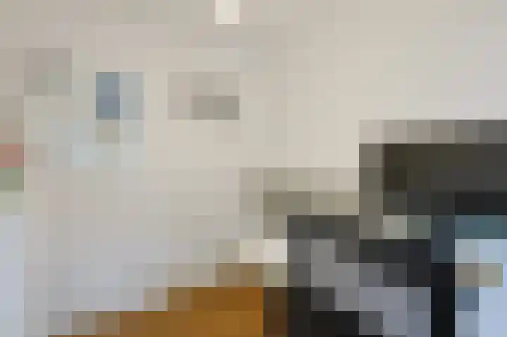 Fuchsiastraat 5 Eindhoven thumbnail 40