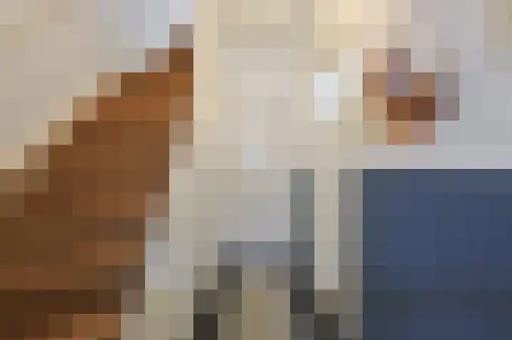 Fuchsiastraat 5 Eindhoven thumbnail 5