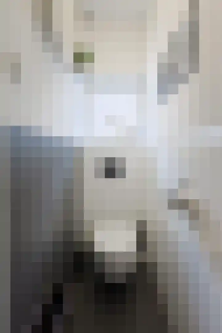 Fuchsiastraat 5 Eindhoven thumbnail 7