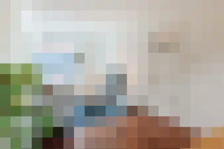 Fuchsiastraat 5 Eindhoven thumbnail 8