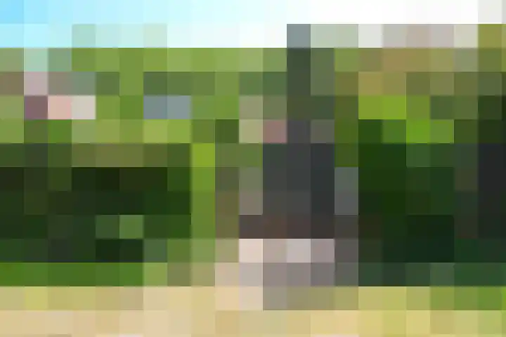 Fuchsiastraat 52 Hilversum thumbnail 23