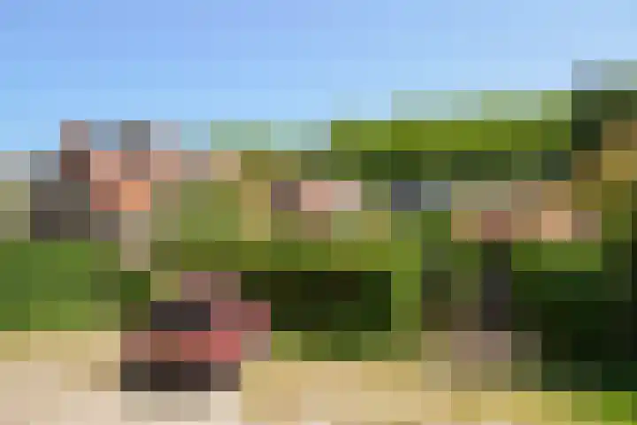 Fuchsiastraat 52 Hilversum thumbnail 24