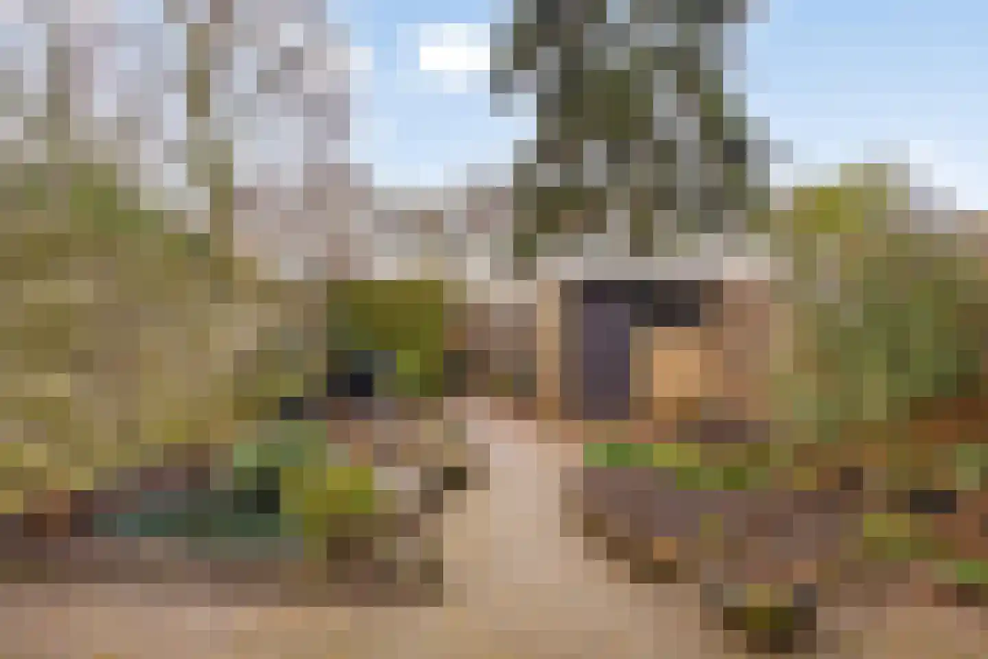Fuchsiastraat 7 Zwijndrecht thumbnail 25