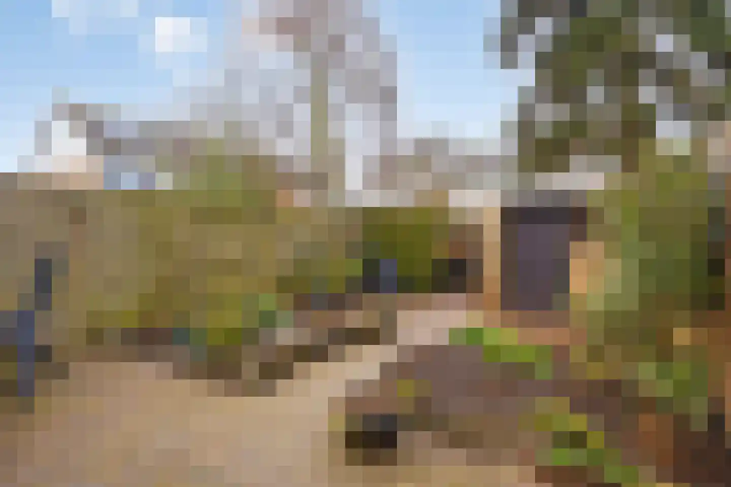 Fuchsiastraat 7 Zwijndrecht thumbnail 26