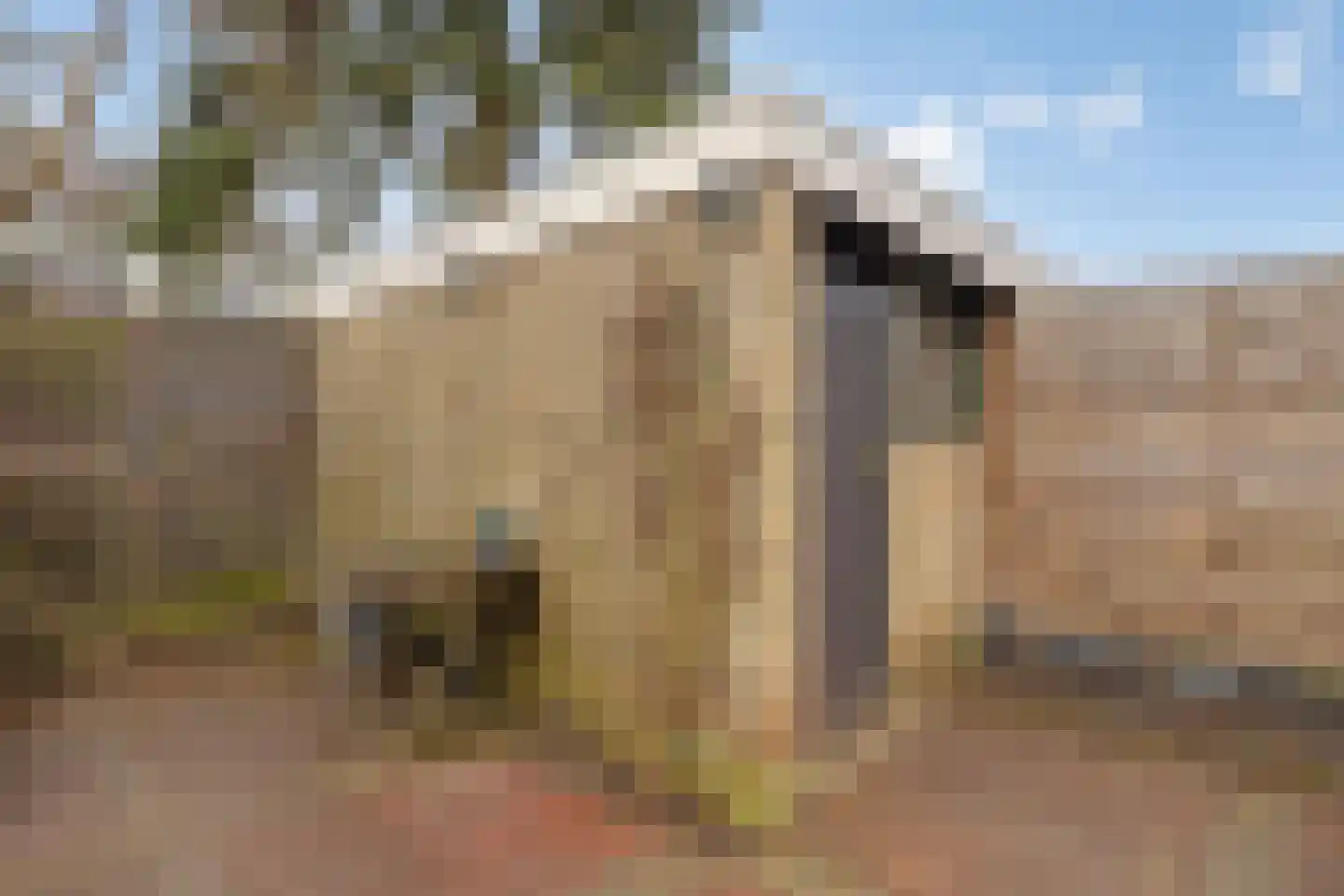 Fuchsiastraat 7 Zwijndrecht thumbnail 27