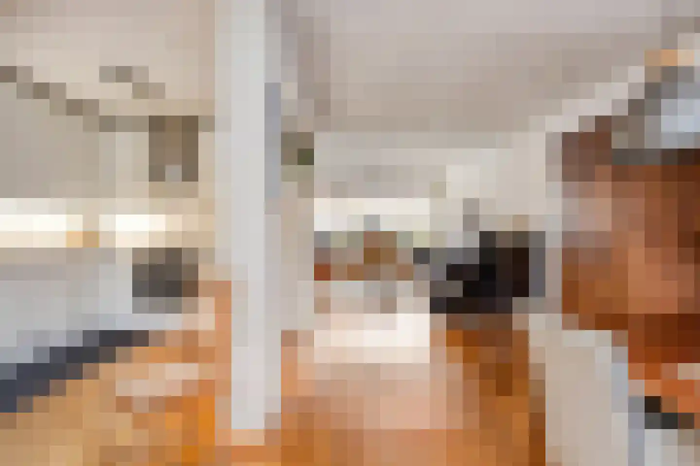 Fuchsiastraat 7 Zwijndrecht thumbnail 7