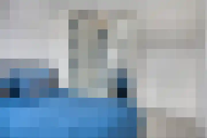 Fuga 12 Oss thumbnail 14