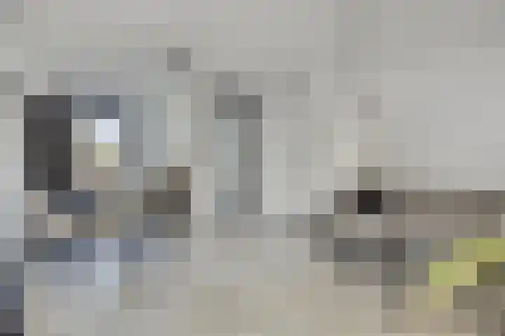 Fuga 12 Oss thumbnail 5